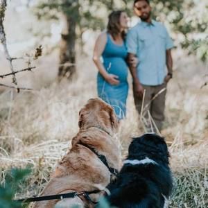 Meet your Posher, Nellie